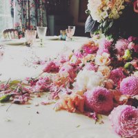 Volg ons op Facebook en Instagram!